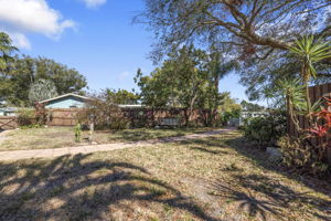 Backyard - 495A7041