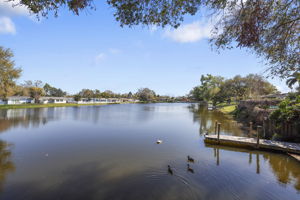 Dock View - 495A7032