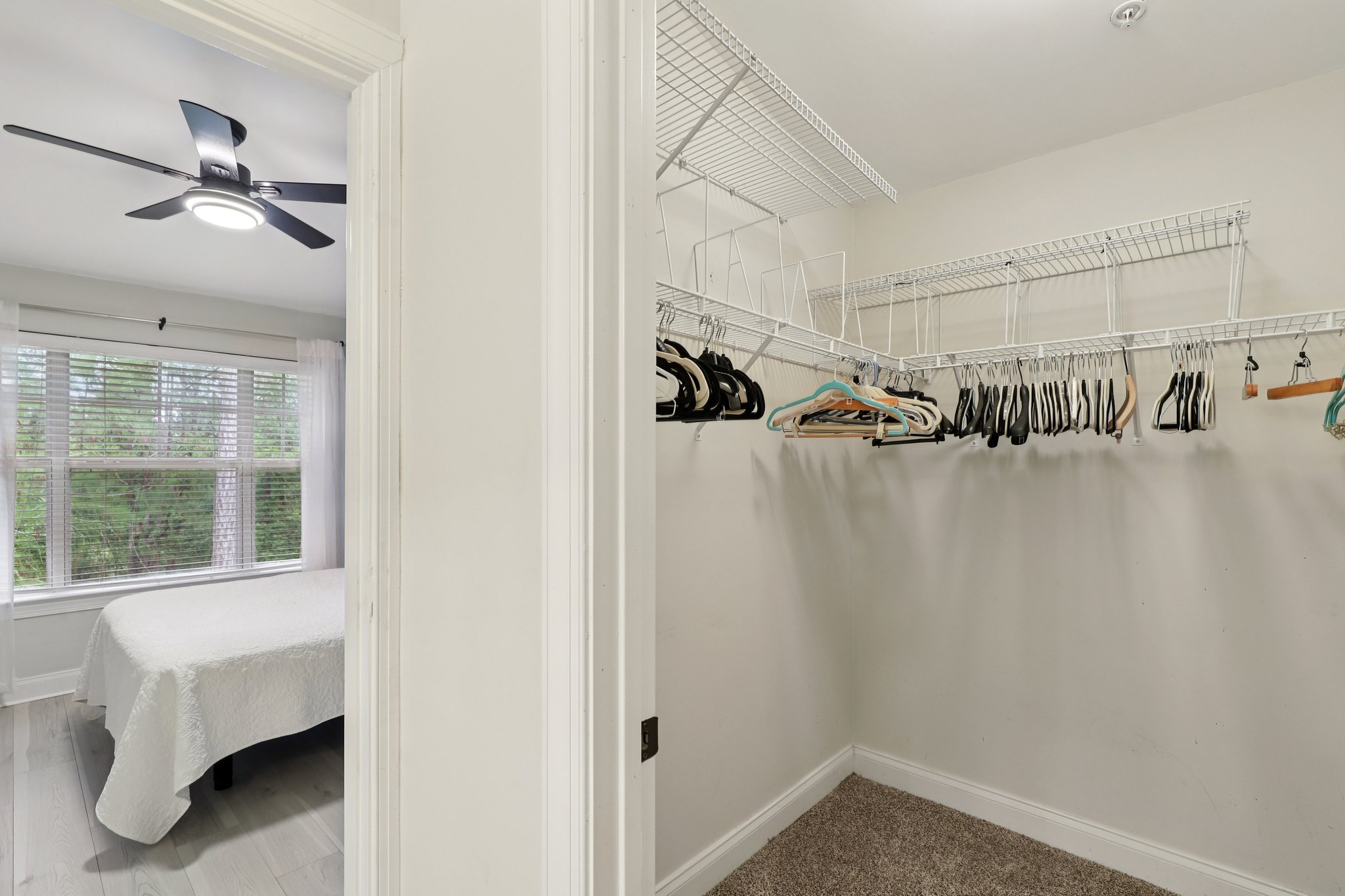 Legendary Dr 302-S1104-017.jpg