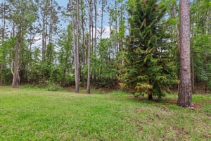 Legendary Dr 302-S1104-030.jpg