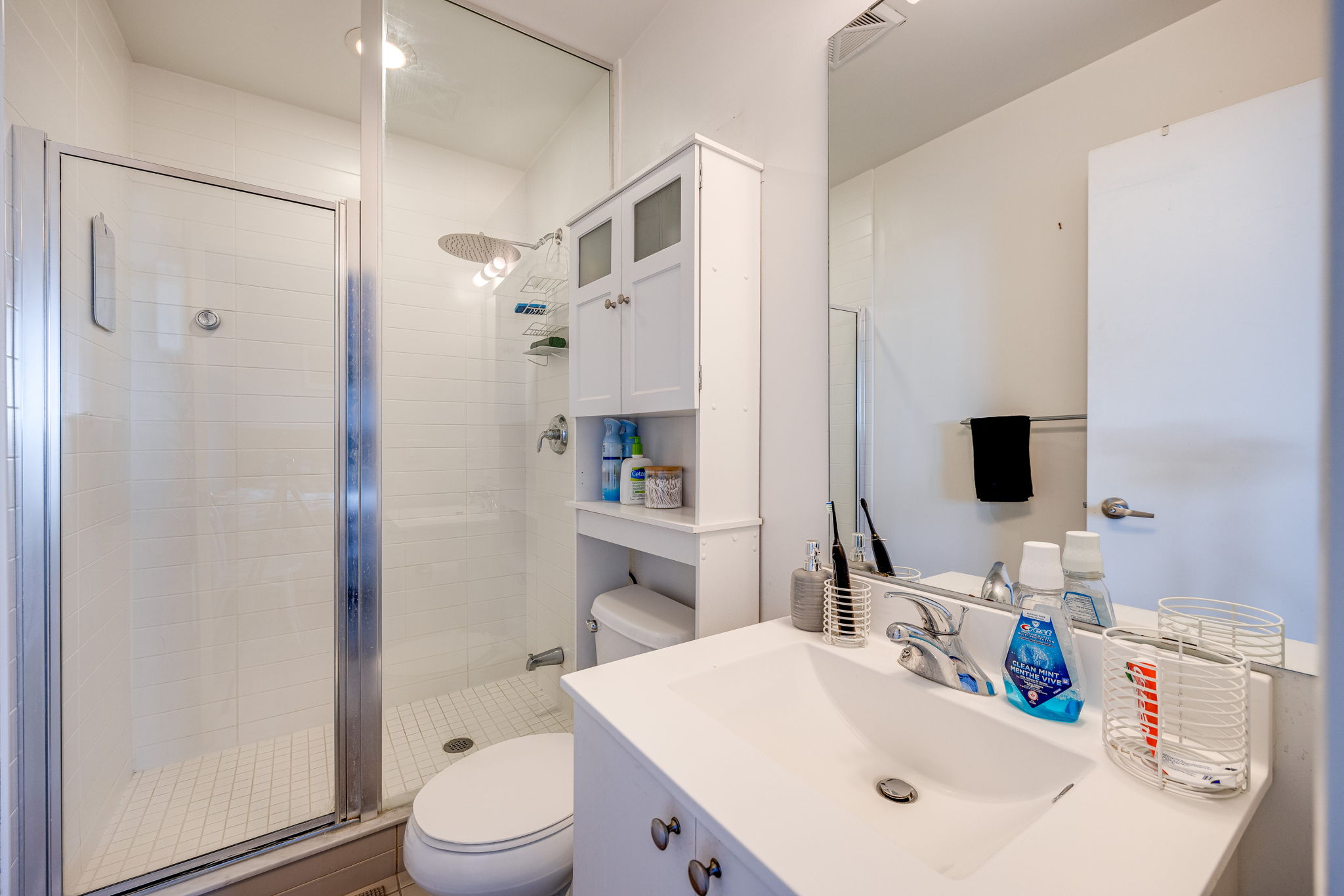 Toronto property showcase — delivered property photograph 12