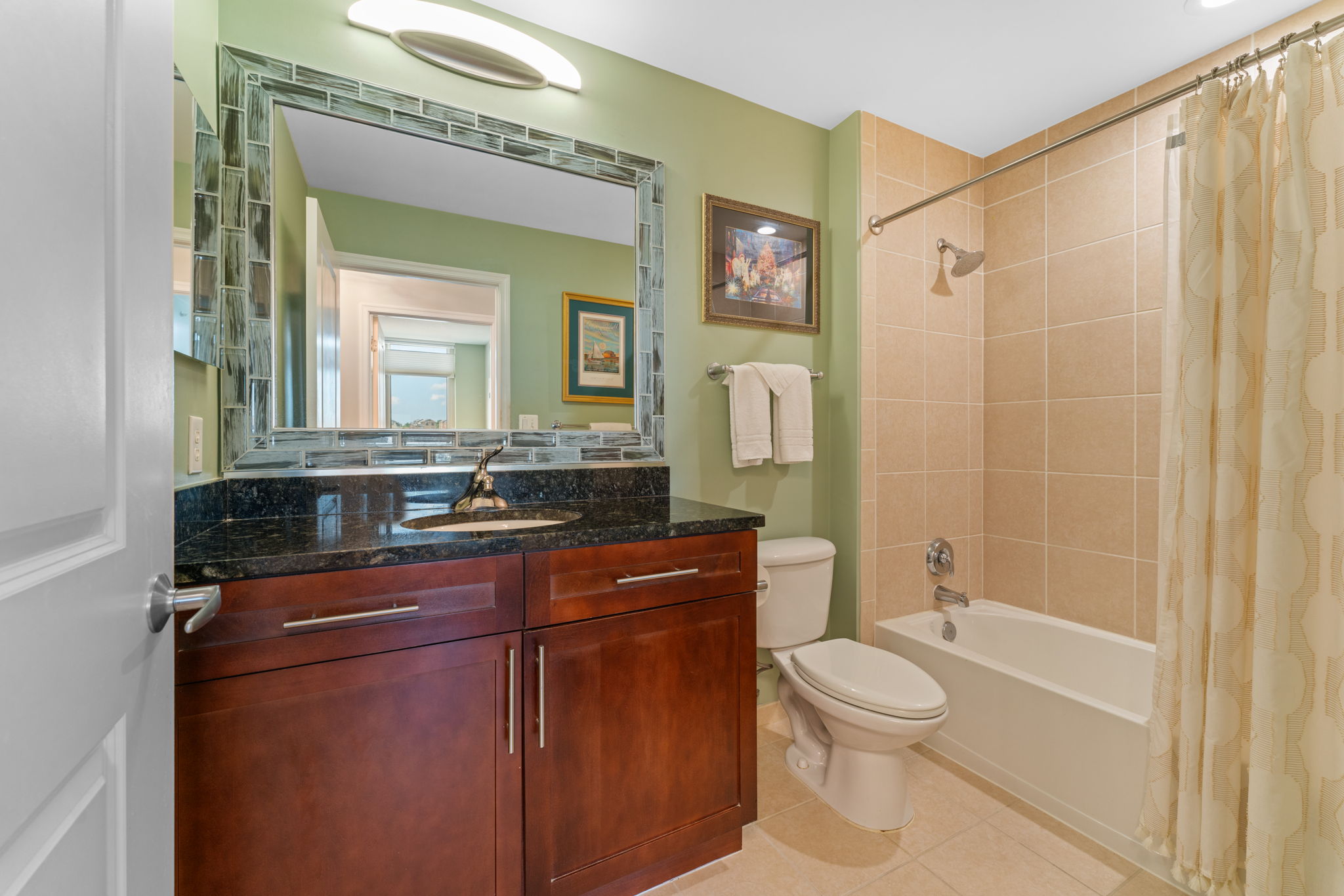 155 Potomac Passage #903 12