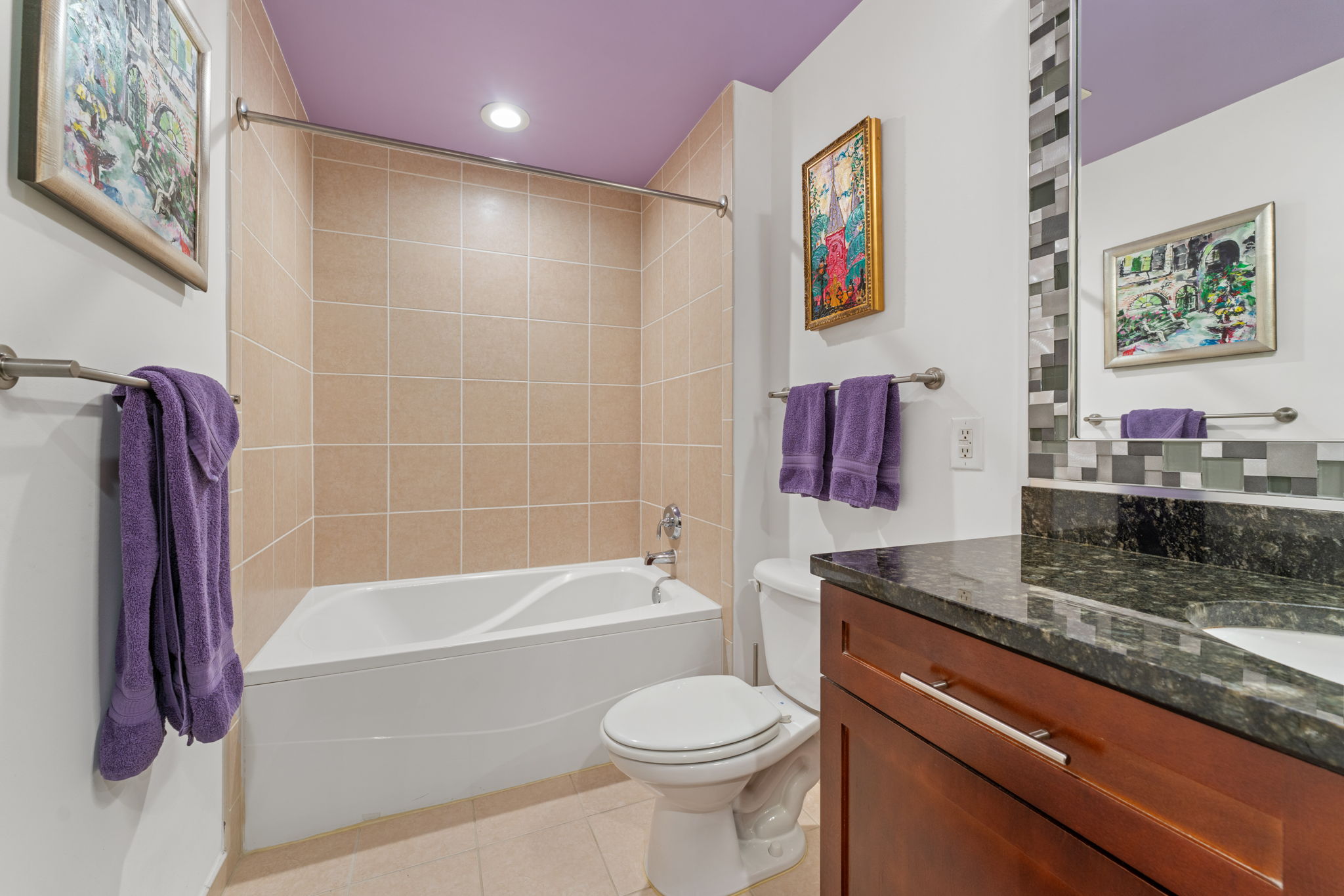 155 Potomac Passage #903 17