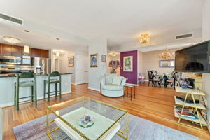 155 Potomac Passage #903 5