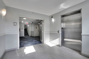  Photo 49