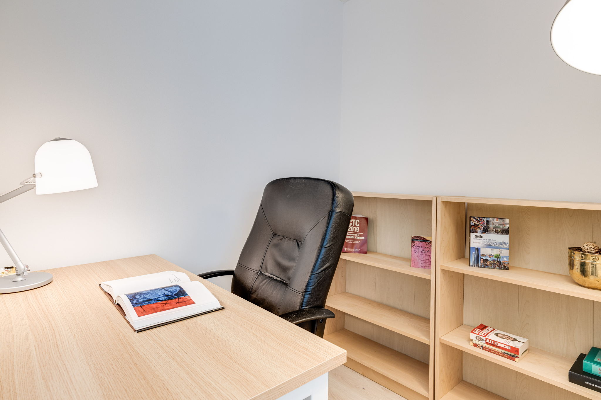 Toronto property showcase — delivered property photograph 7