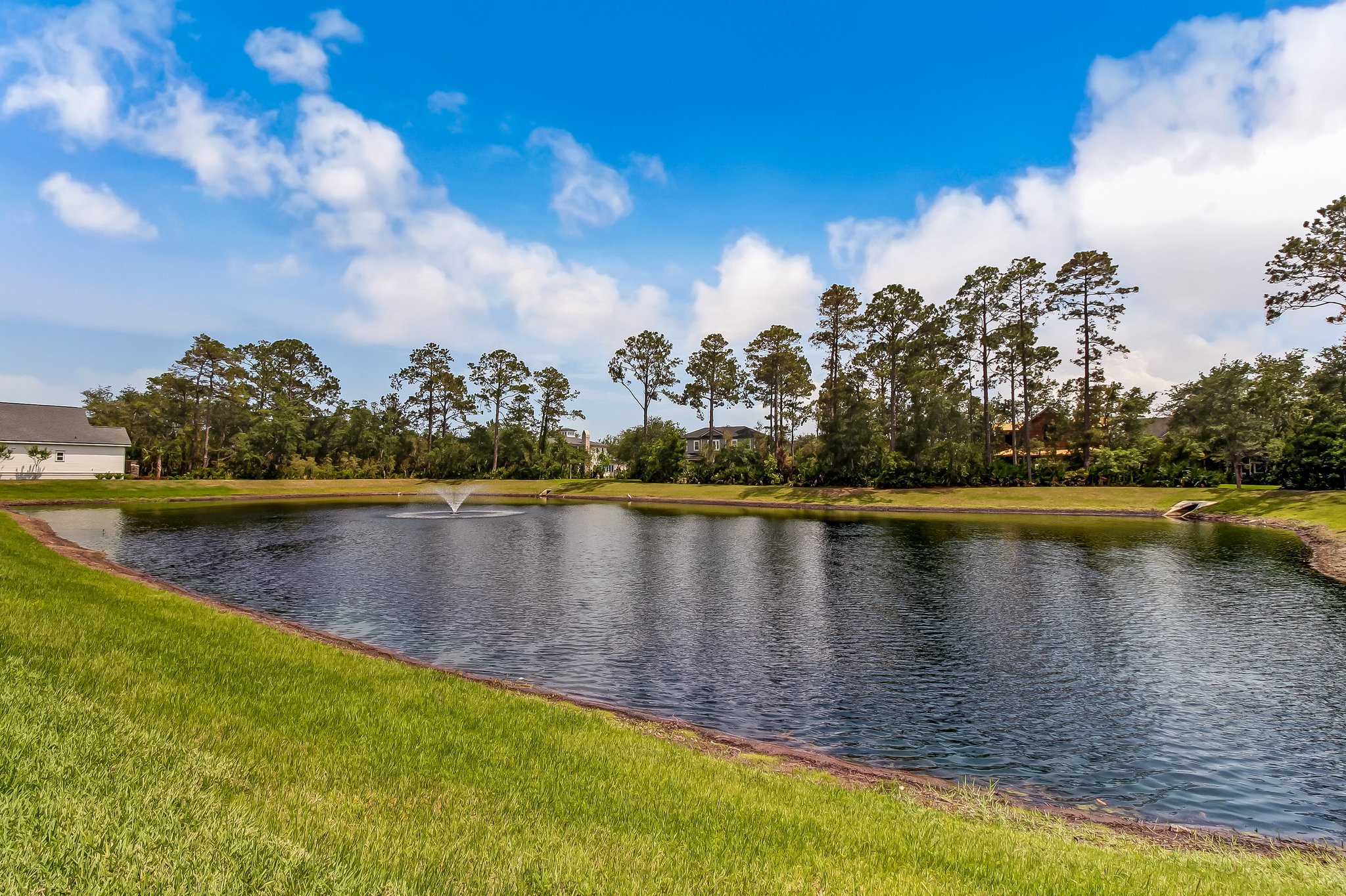 Coastal Oaks