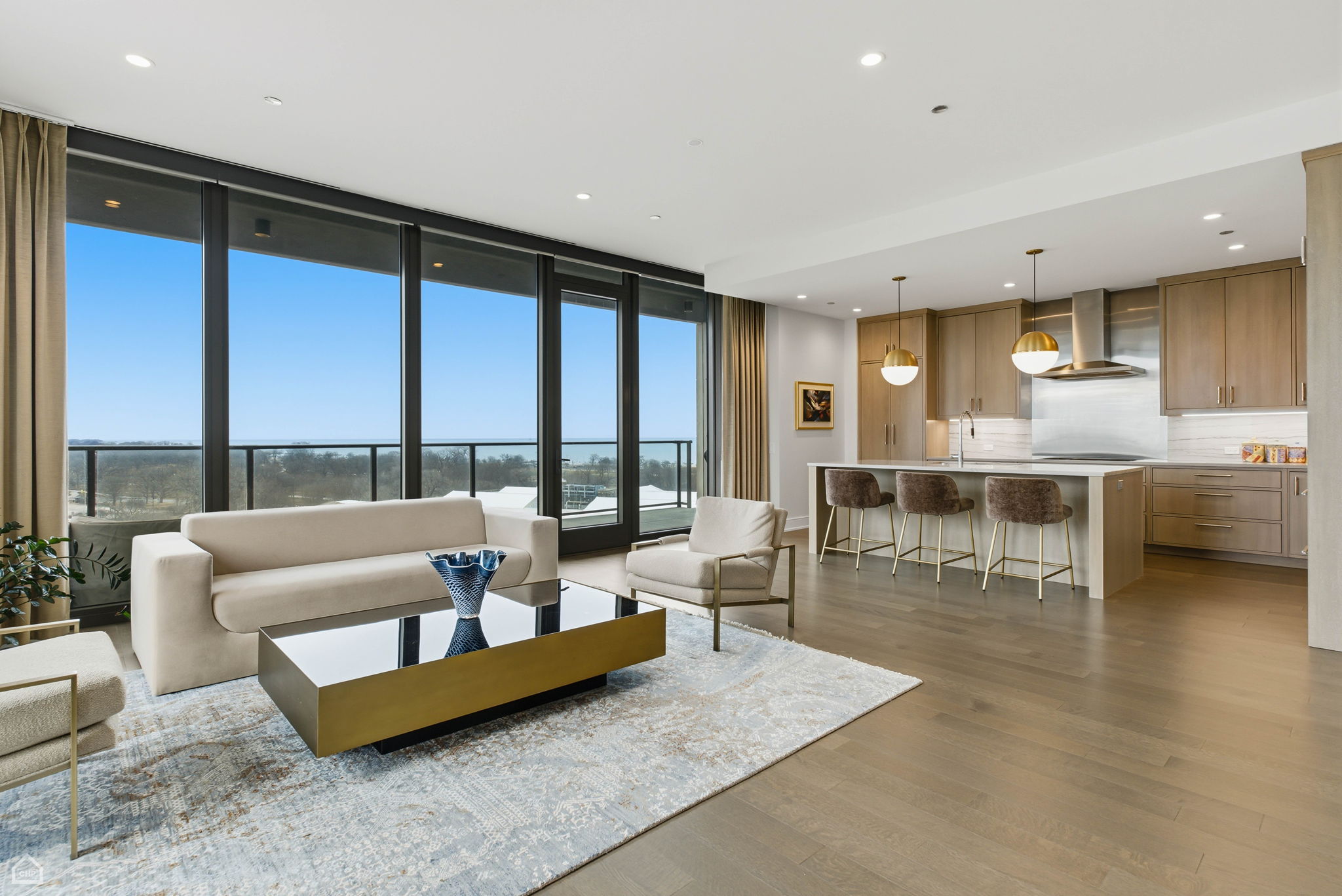 1550 N Clark St 903 - Amit Vyas_CHP2026_017