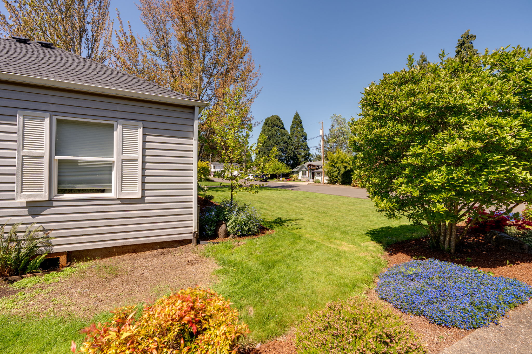  Photo 87