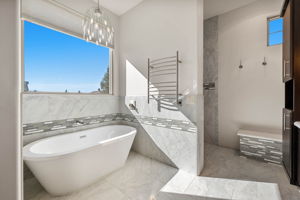 Primary Bathroom (2)