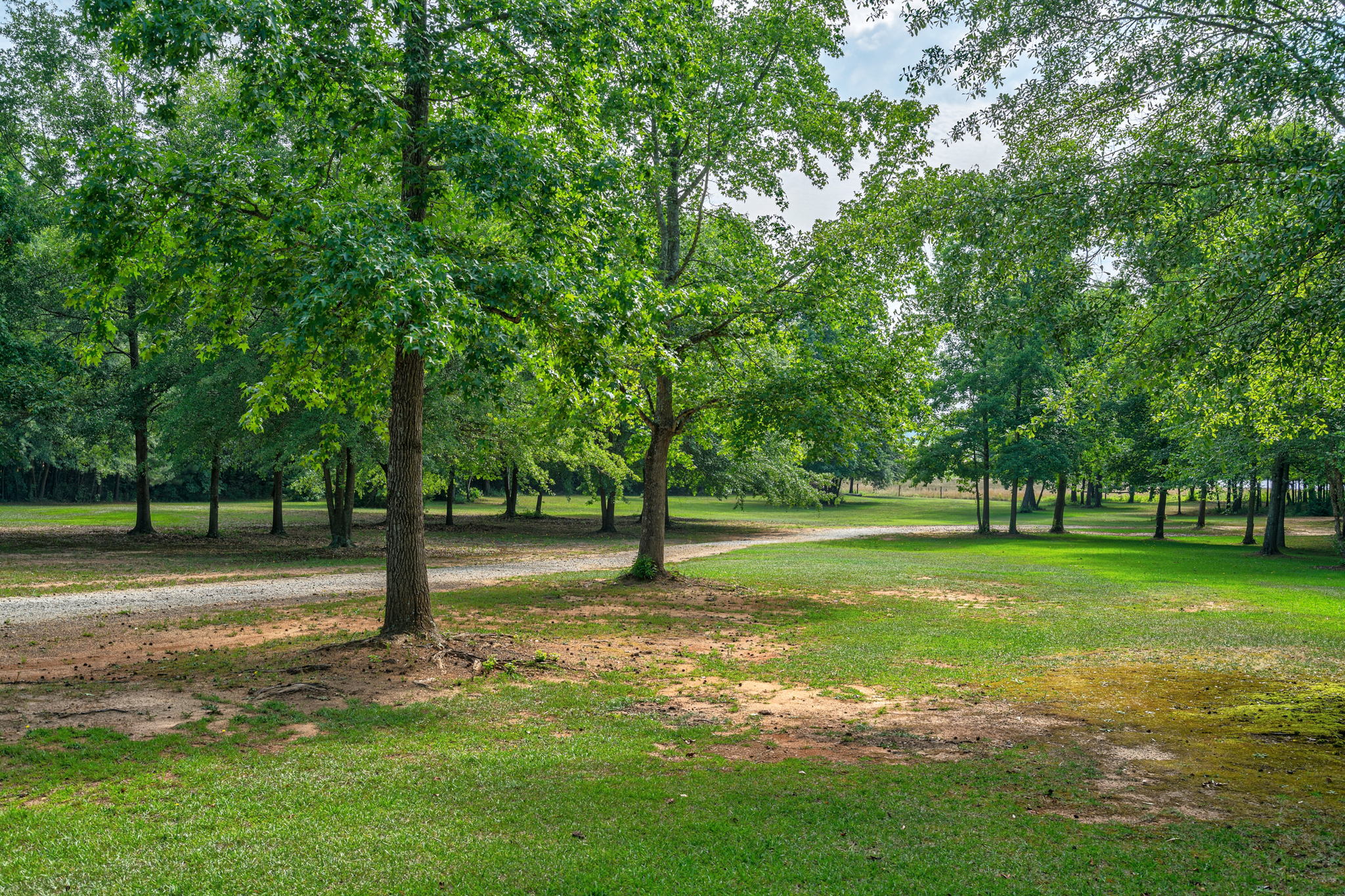 1551 Lane Creek Rd, Bogart, GA 30622, USA Photo 14