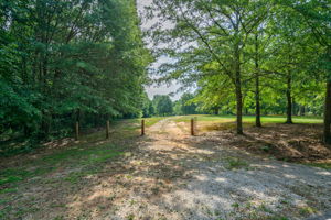 1551 Lane Creek Rd, Bogart, GA 30622, USA Photo 5