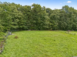  Photo 74