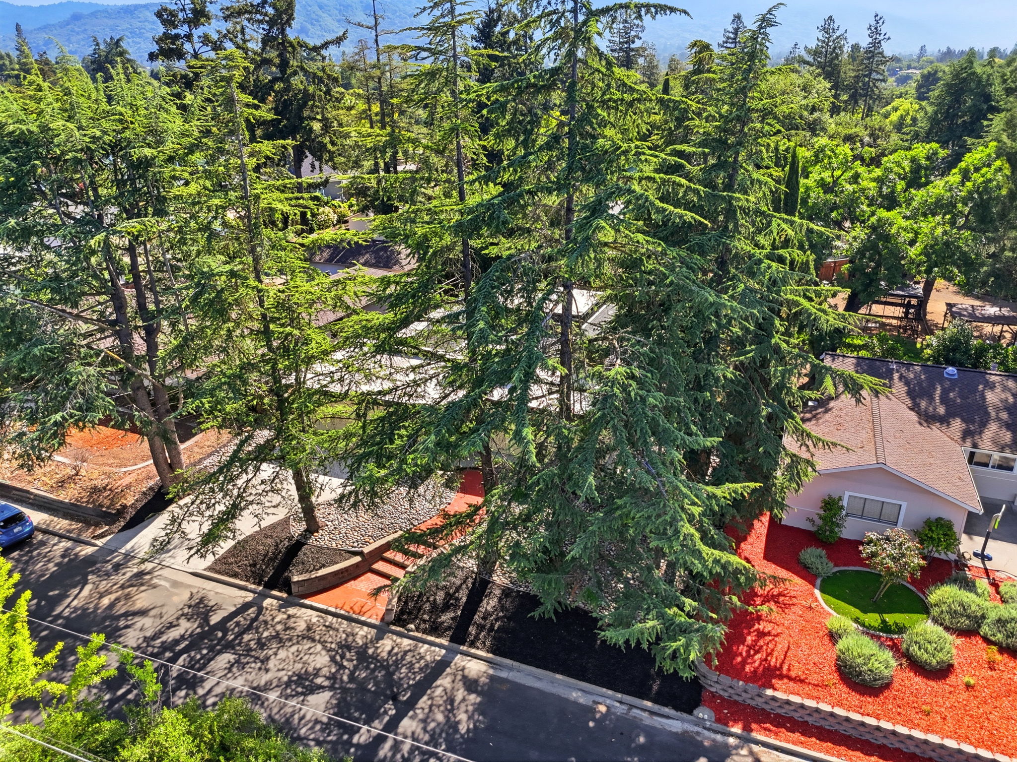 006_F8_AERIAL_15515 Corinne Dr