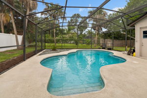 Screen Enclosed Pool