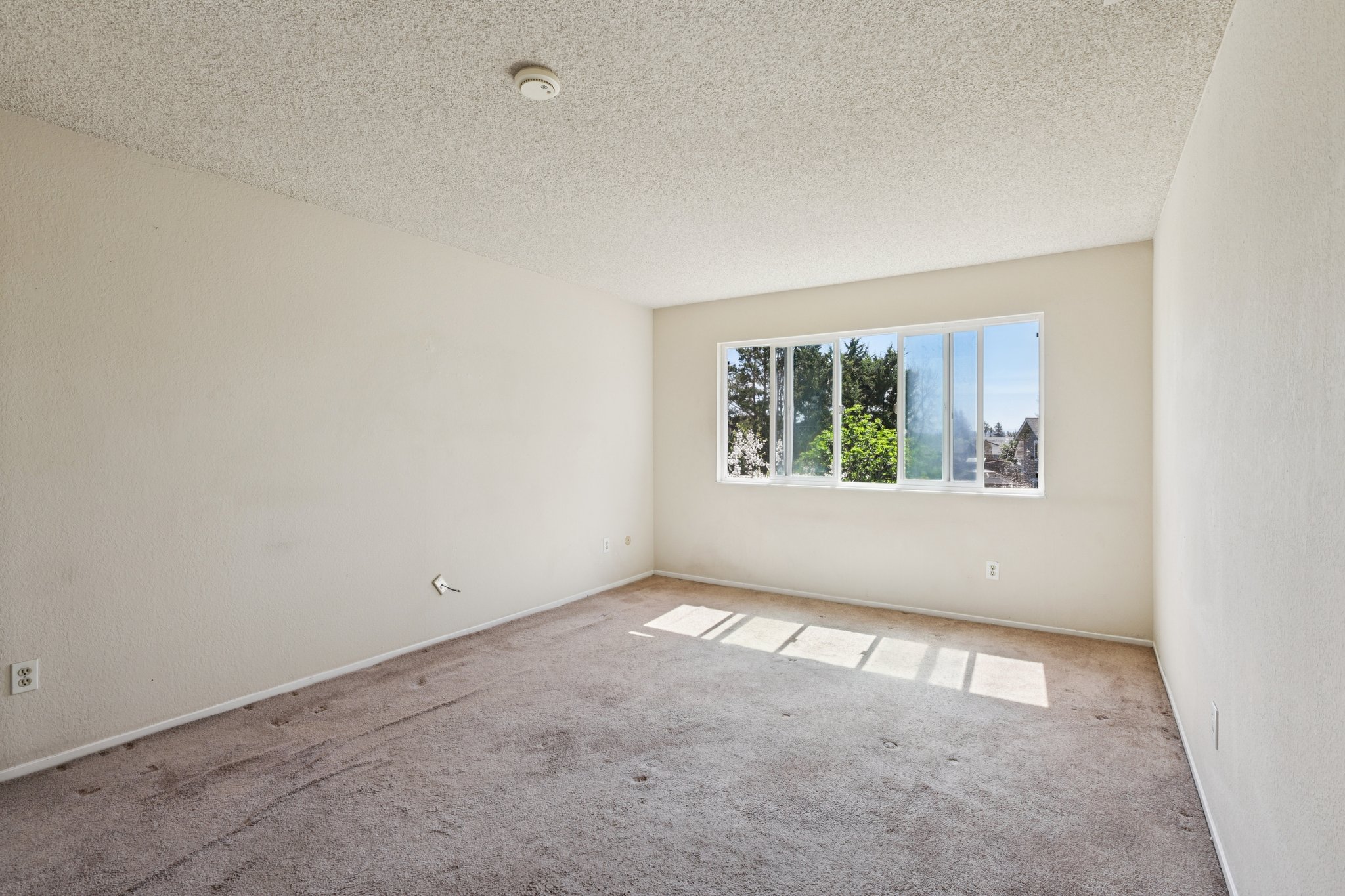 Holly Ave-S2403-025.jpg