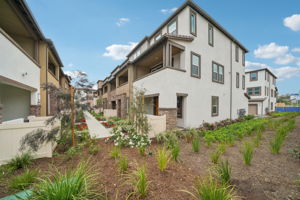 SoCal - Stratus - 1553 Stratus Dr, Pomona, CA 91768 - 003