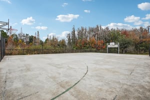 Ludington Ave-0601-903.jpg