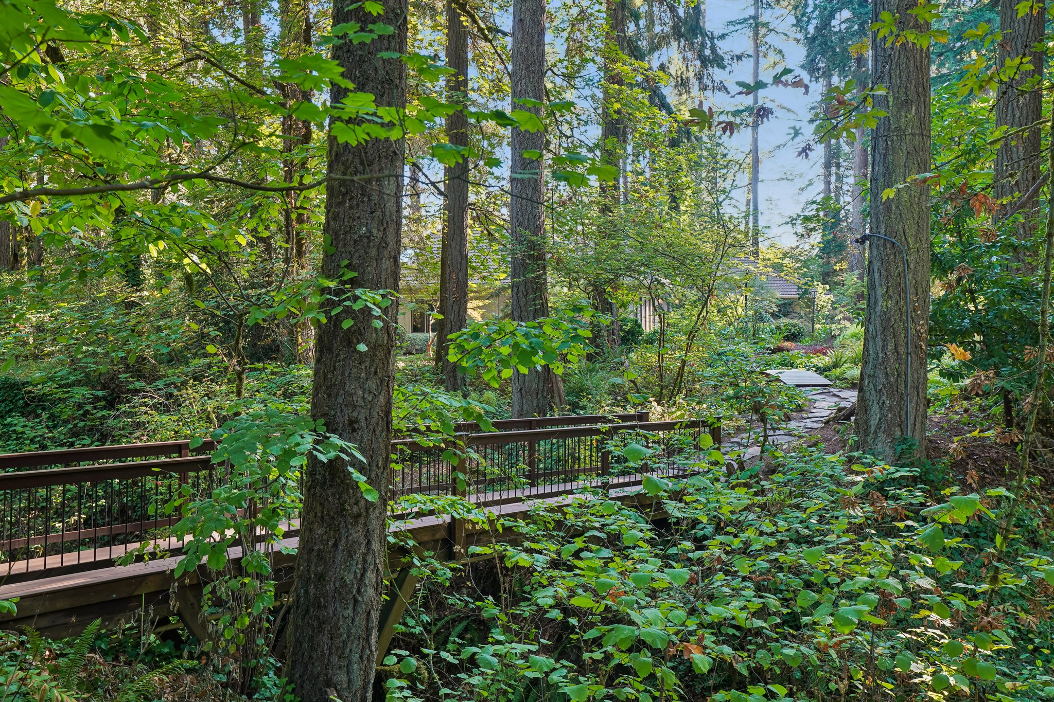 S Clackamas River Dr-1709-912.jpg