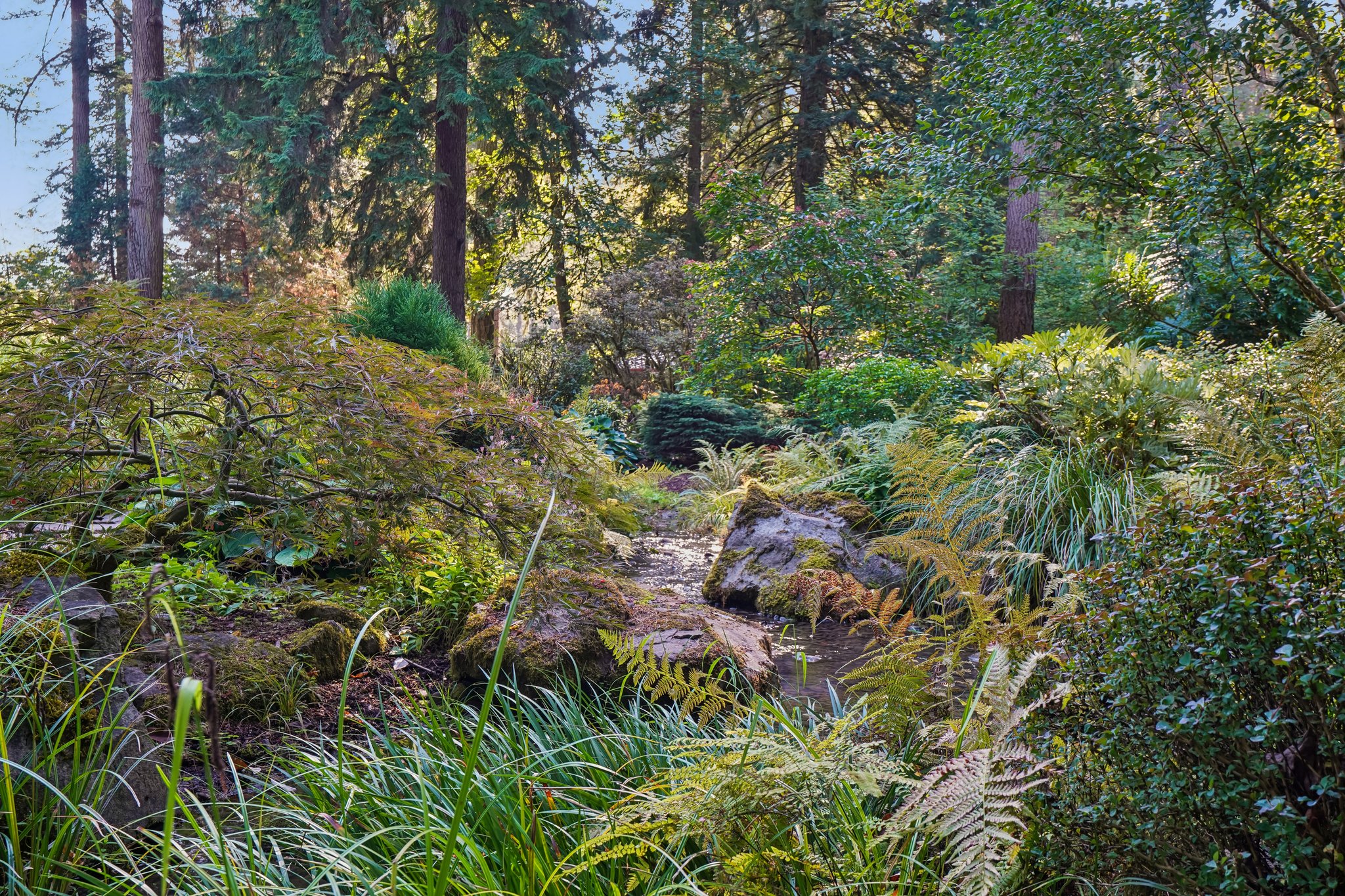 S Clackamas River Dr-1709-916.jpg