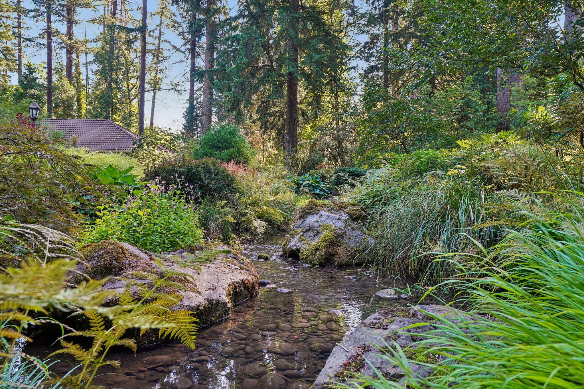 S Clackamas River Dr-1709-917.jpg