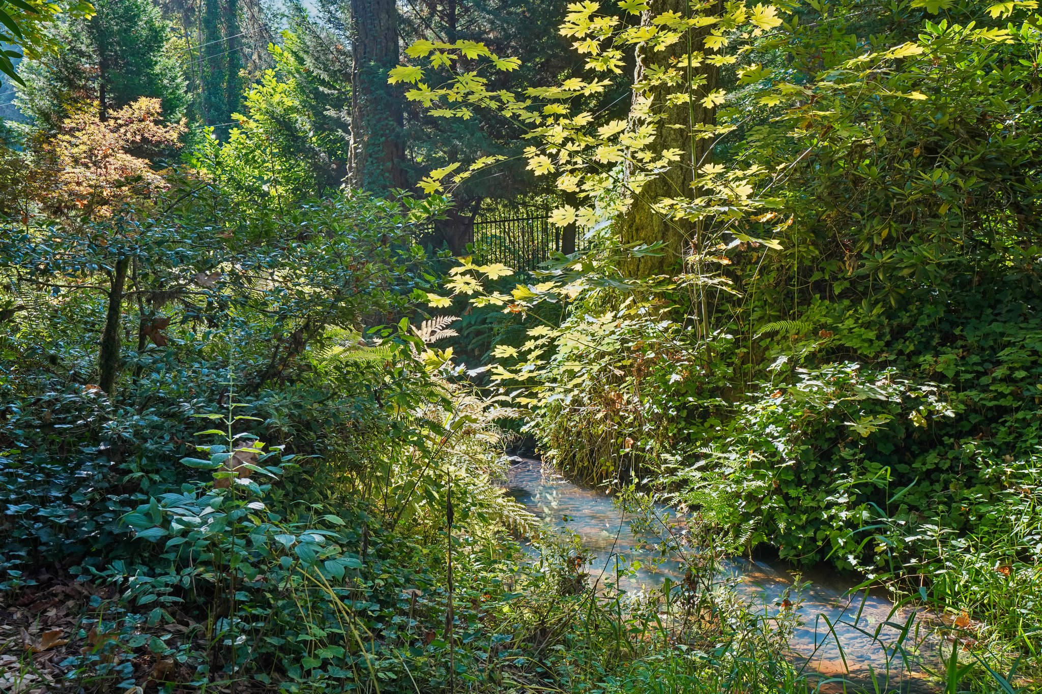 S Clackamas River Dr-1709-918.jpg