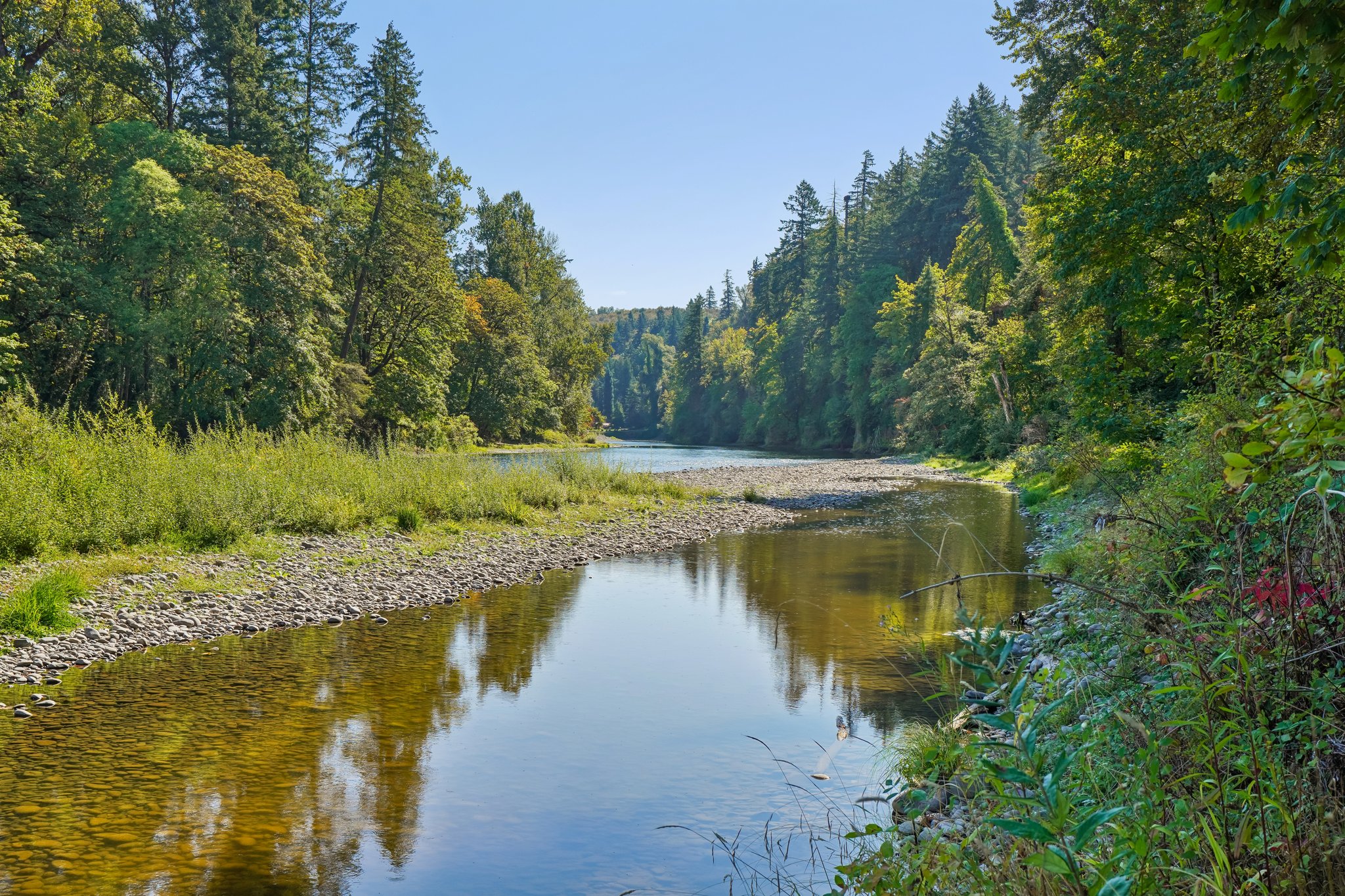 S Clackamas River Dr-1709-919.jpg