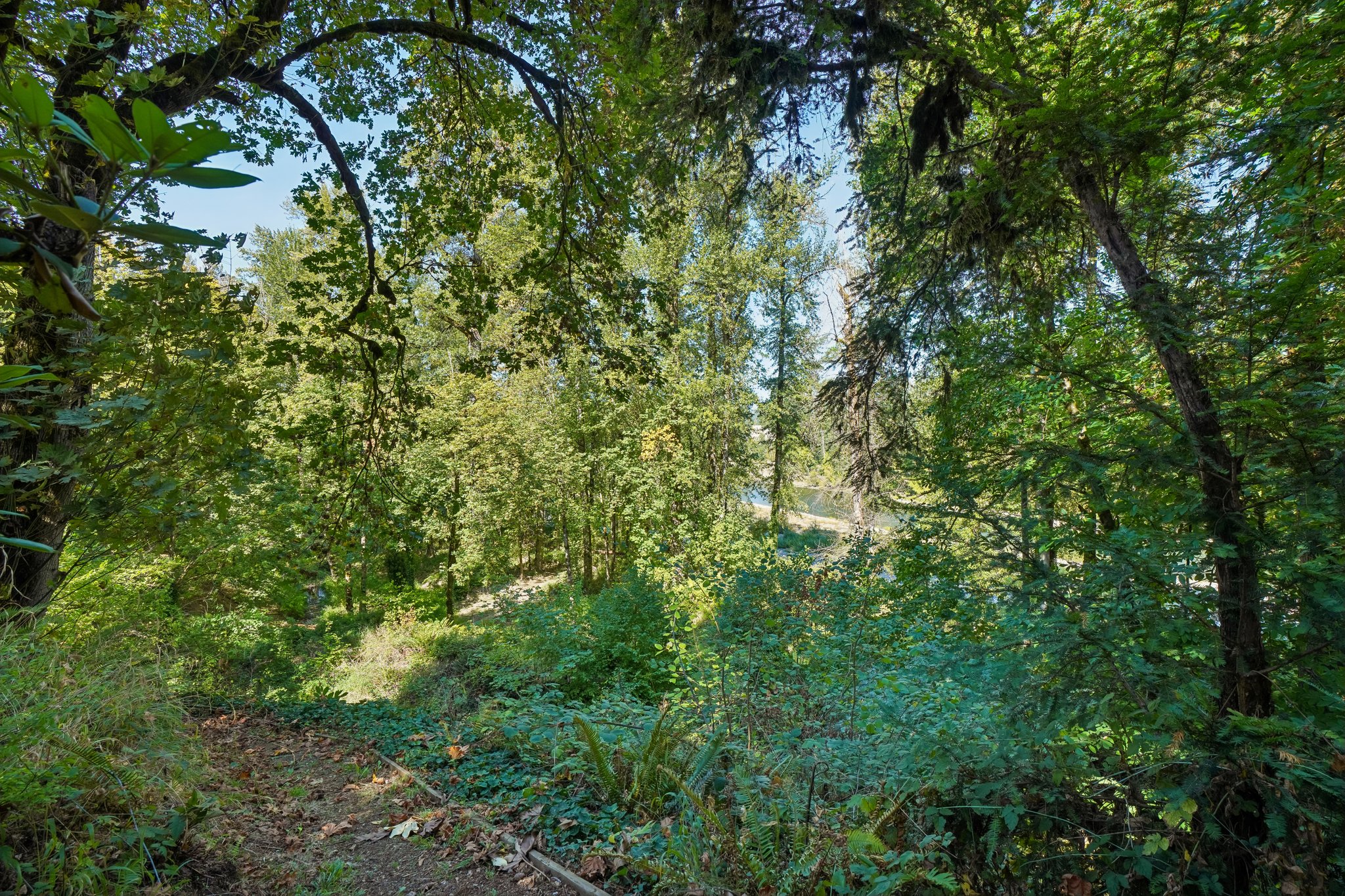 S Clackamas River Dr-1709-923.jpg