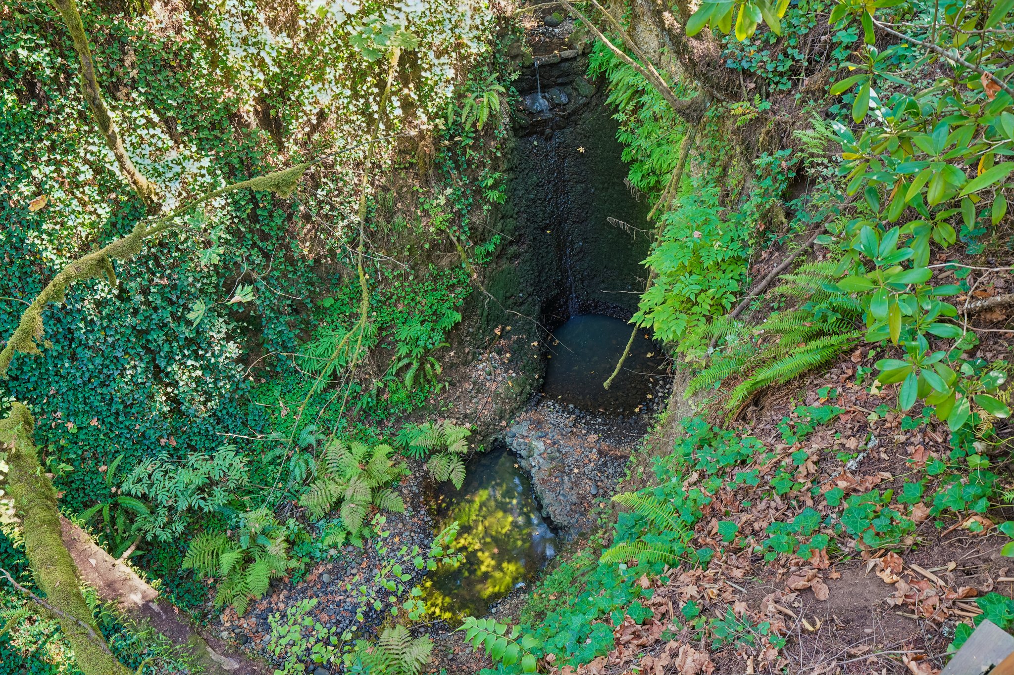 S Clackamas River Dr-1709-925.jpg