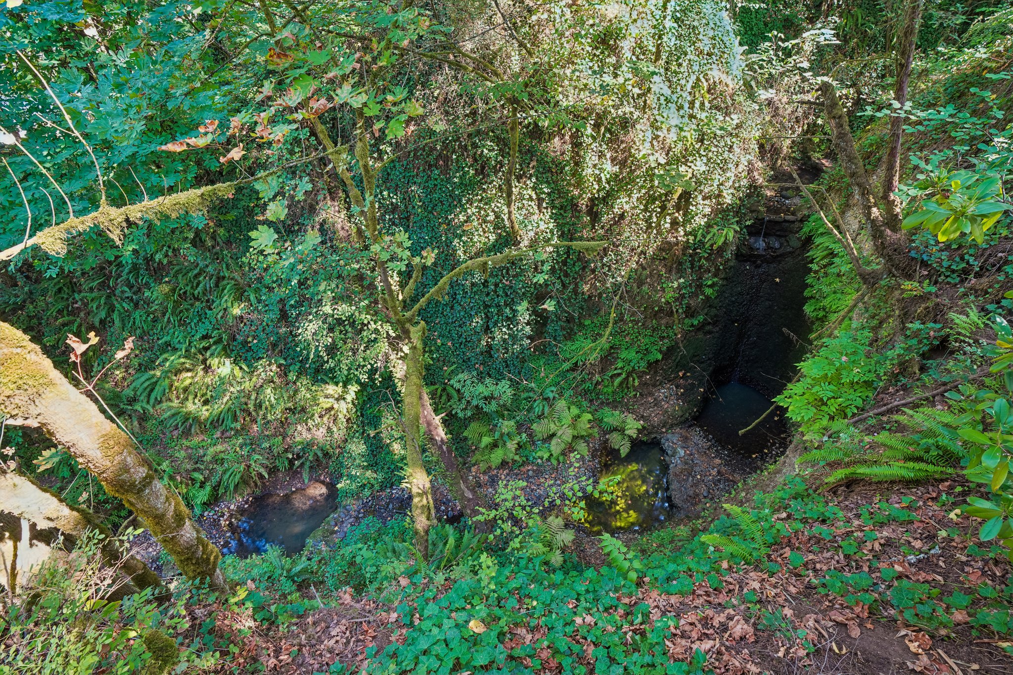 S Clackamas River Dr-1709-926.jpg