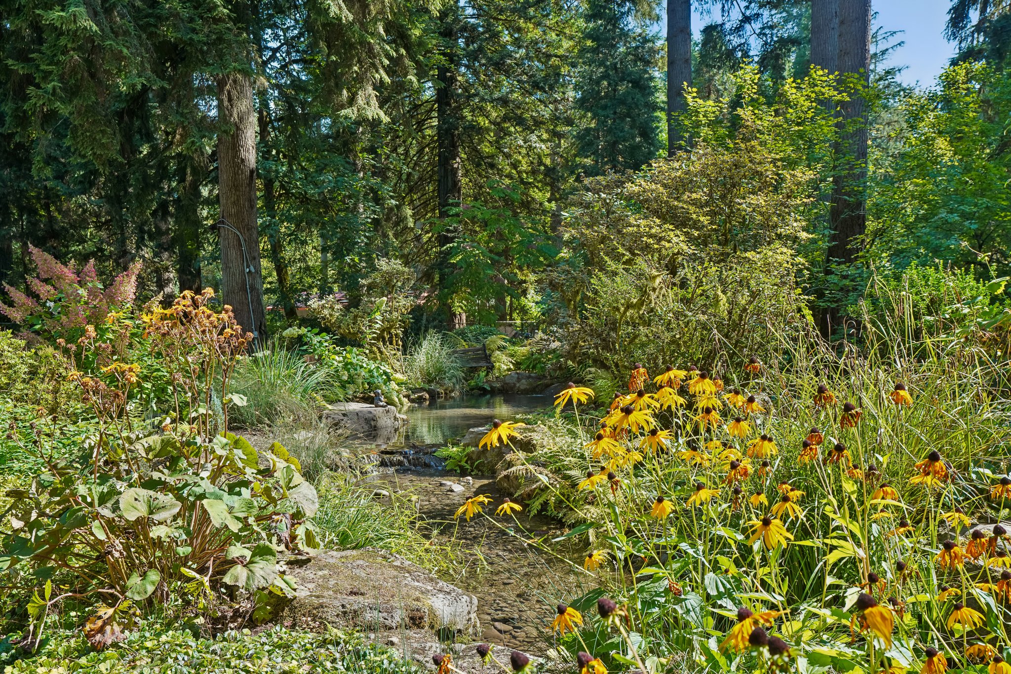 S Clackamas River Dr-1709-930.jpg