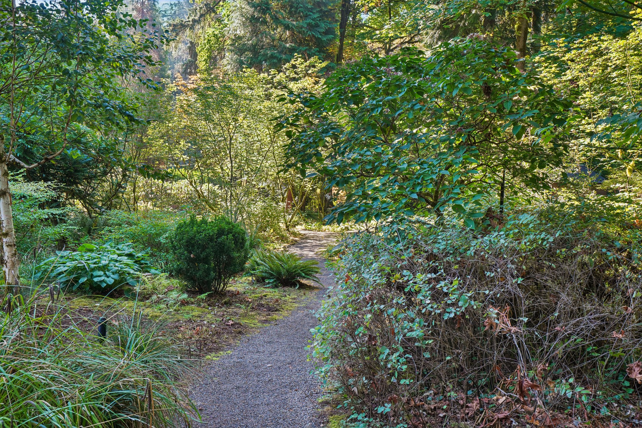 S Clackamas River Dr-S1709-087.jpg