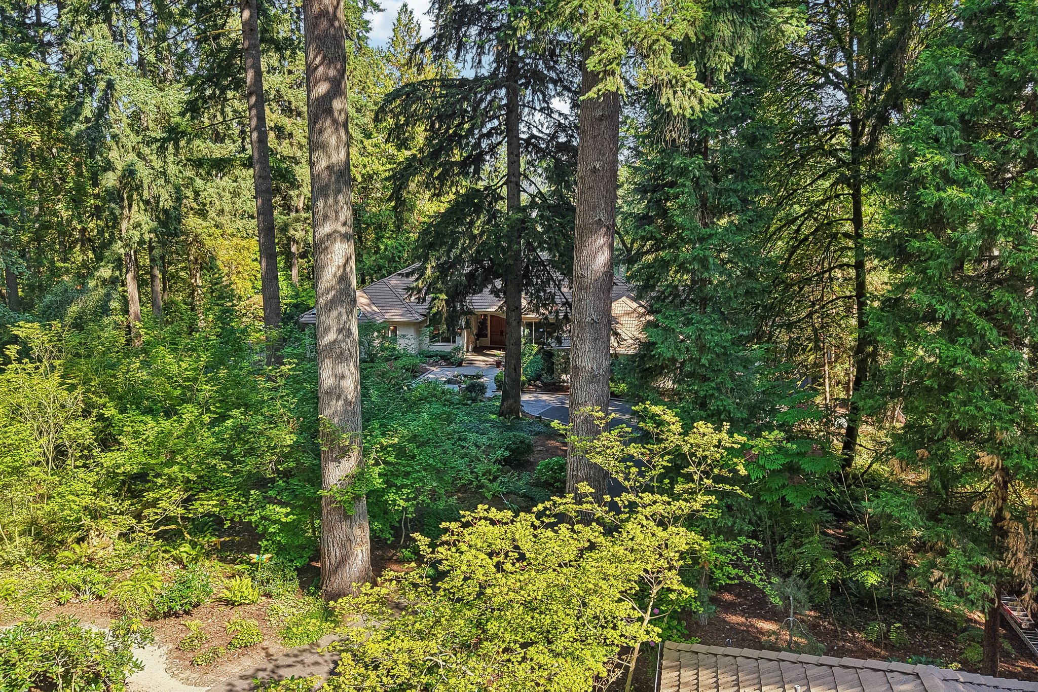 S Clackamas River Dr-S1709-099.jpg