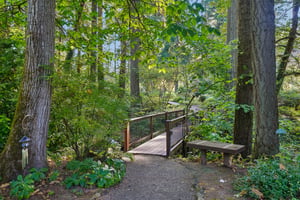 S Clackamas River Dr-1709-913.jpg
