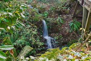 S Clackamas River Dr-1709-914.jpg