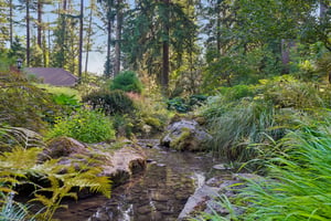 S Clackamas River Dr-1709-917.jpg