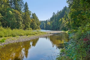 S Clackamas River Dr-1709-919.jpg