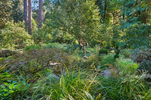 S Clackamas River Dr-1709-929.jpg