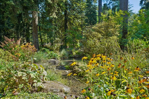 S Clackamas River Dr-1709-930.jpg