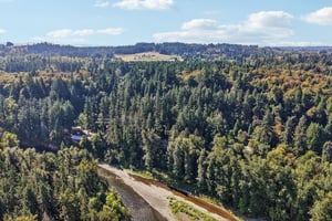 S Clackamas River Dr-S1709-104.jpg