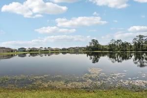 Scarlett Ave-S2907-034.jpg