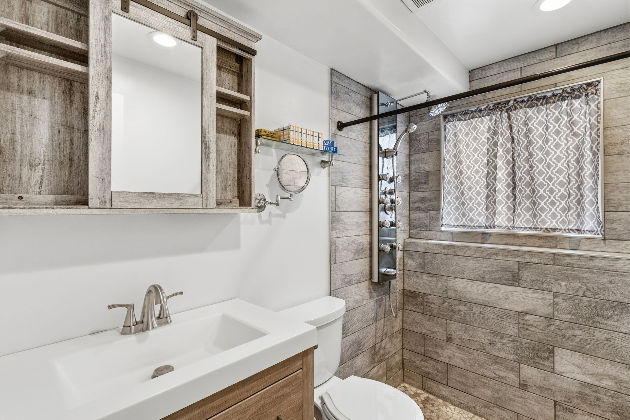Lower Level Bathroom
