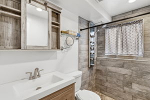 Lower Level Bathroom
