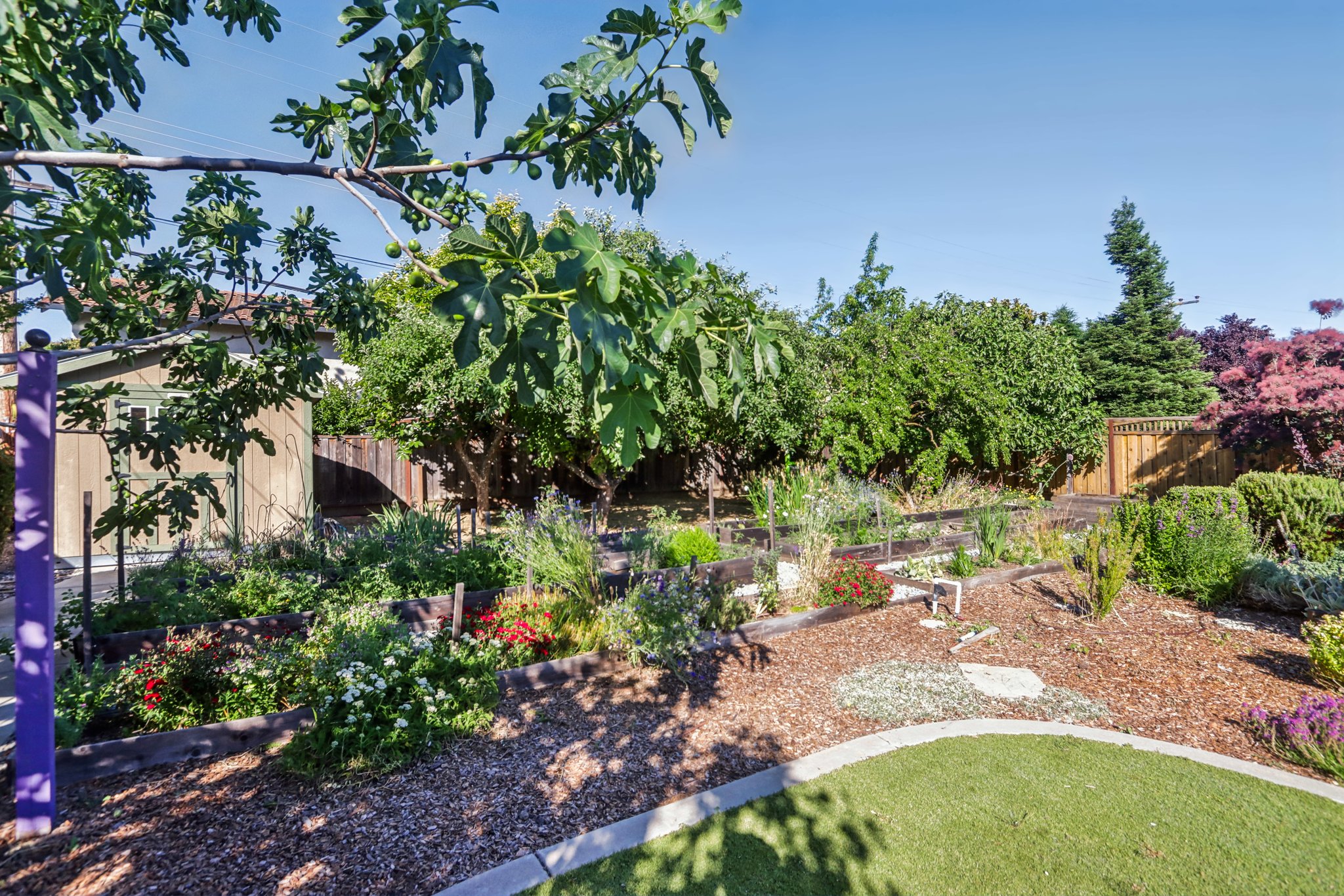 La Alameda Dr-048.jpg