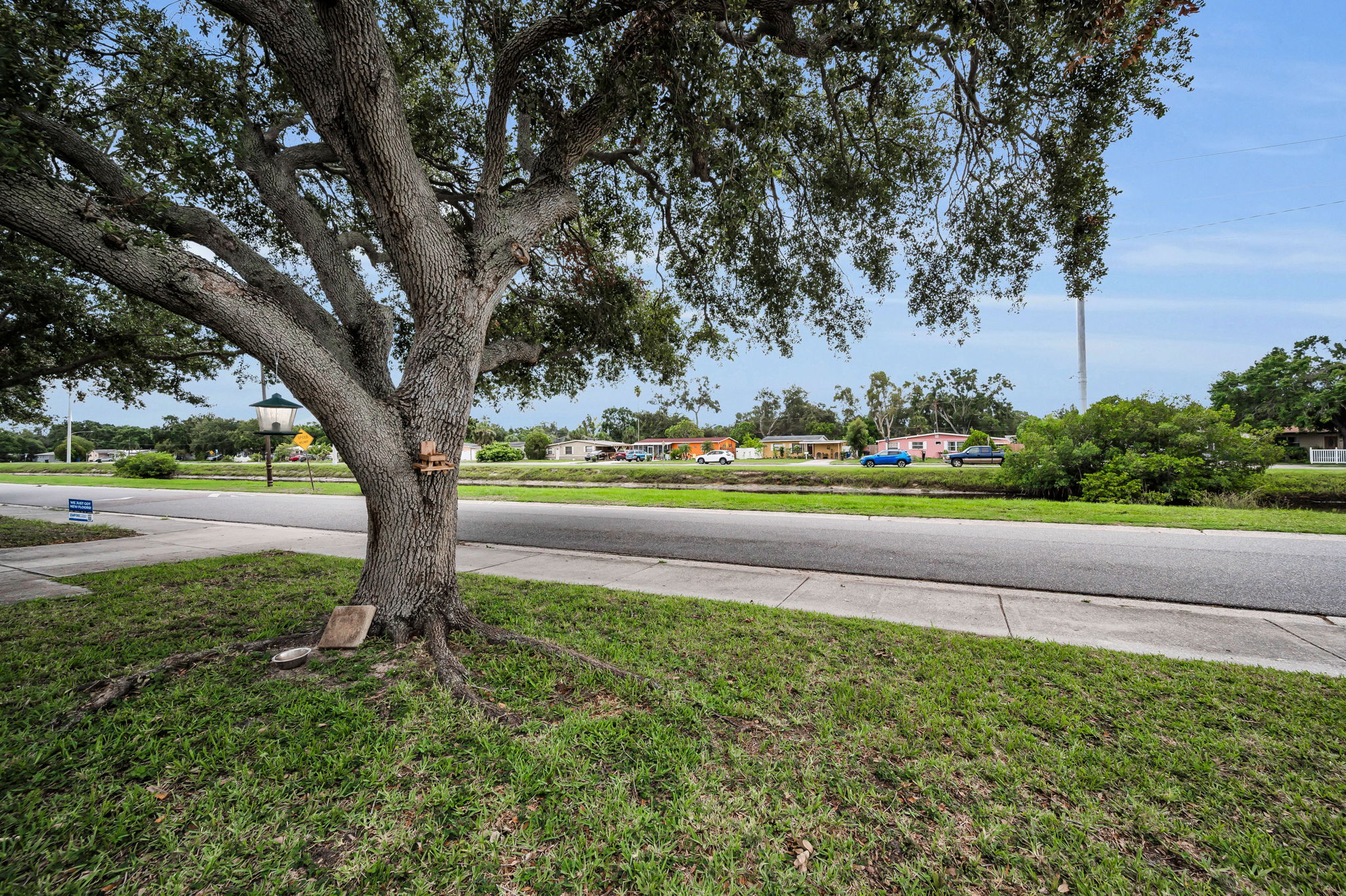 Frontyard View1