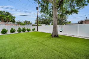 Backyard1