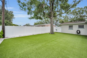 Backyard2
