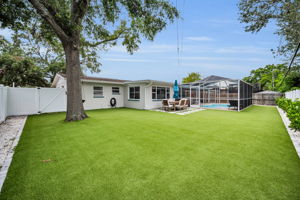 Backyard3