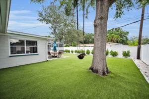 Backyard4
