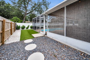 Backyard8